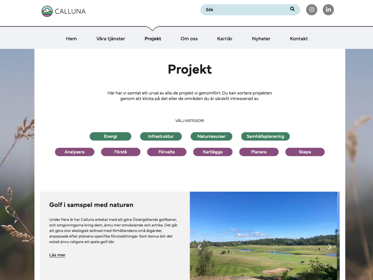 calluna-projekt